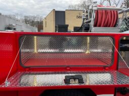 2020 F450 Super Duty 4Dr Super Cab 4×4 Quick Attack Mini Pumper 250/300 full